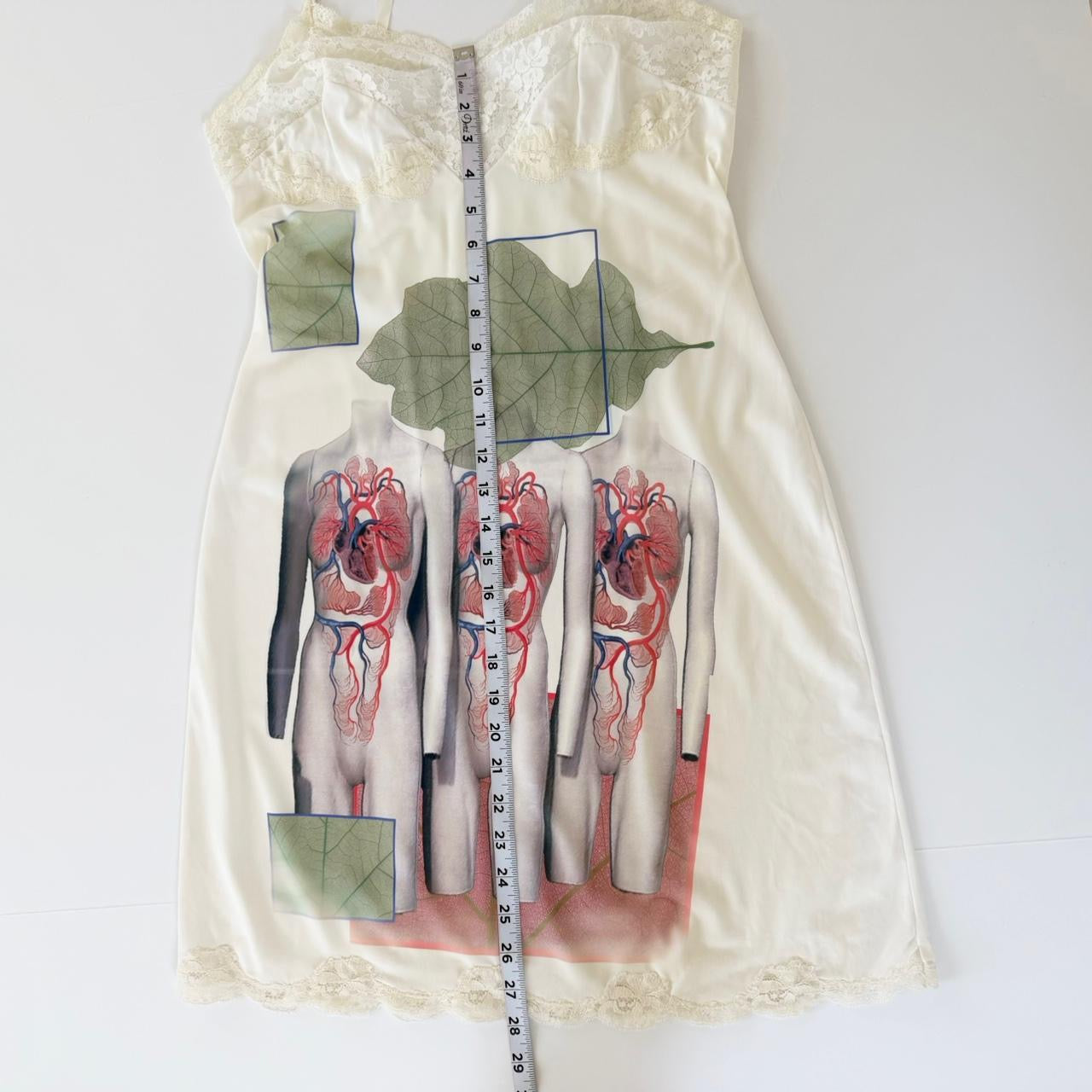 vein studies vintage slip dress (s)