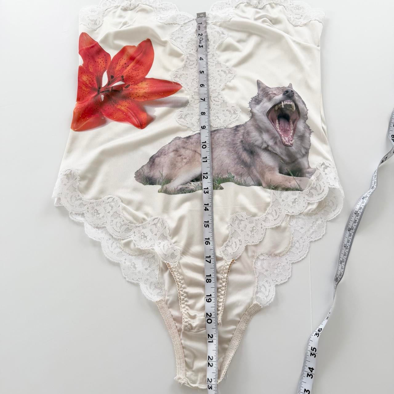 rawr vintage slip lace bodysuit (s/m)