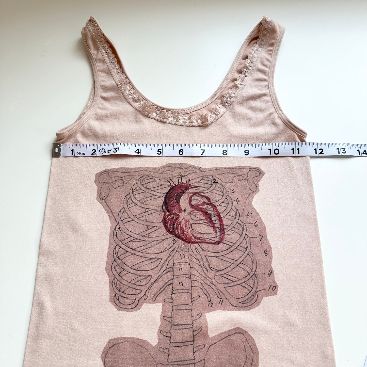 rib cage anatomy cami (m)