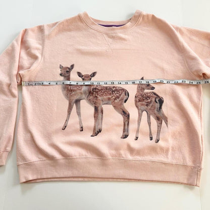 fawns sweatshirt (xl)